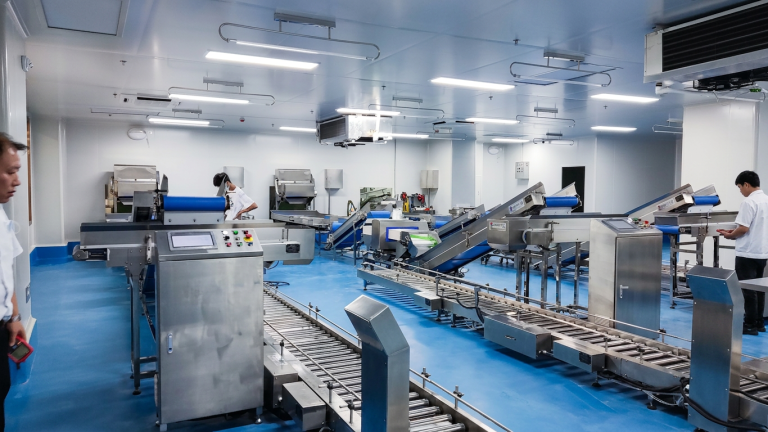 Central Kitchen Food Preparation Line With Workers And Stainless Steel Processing Equipment