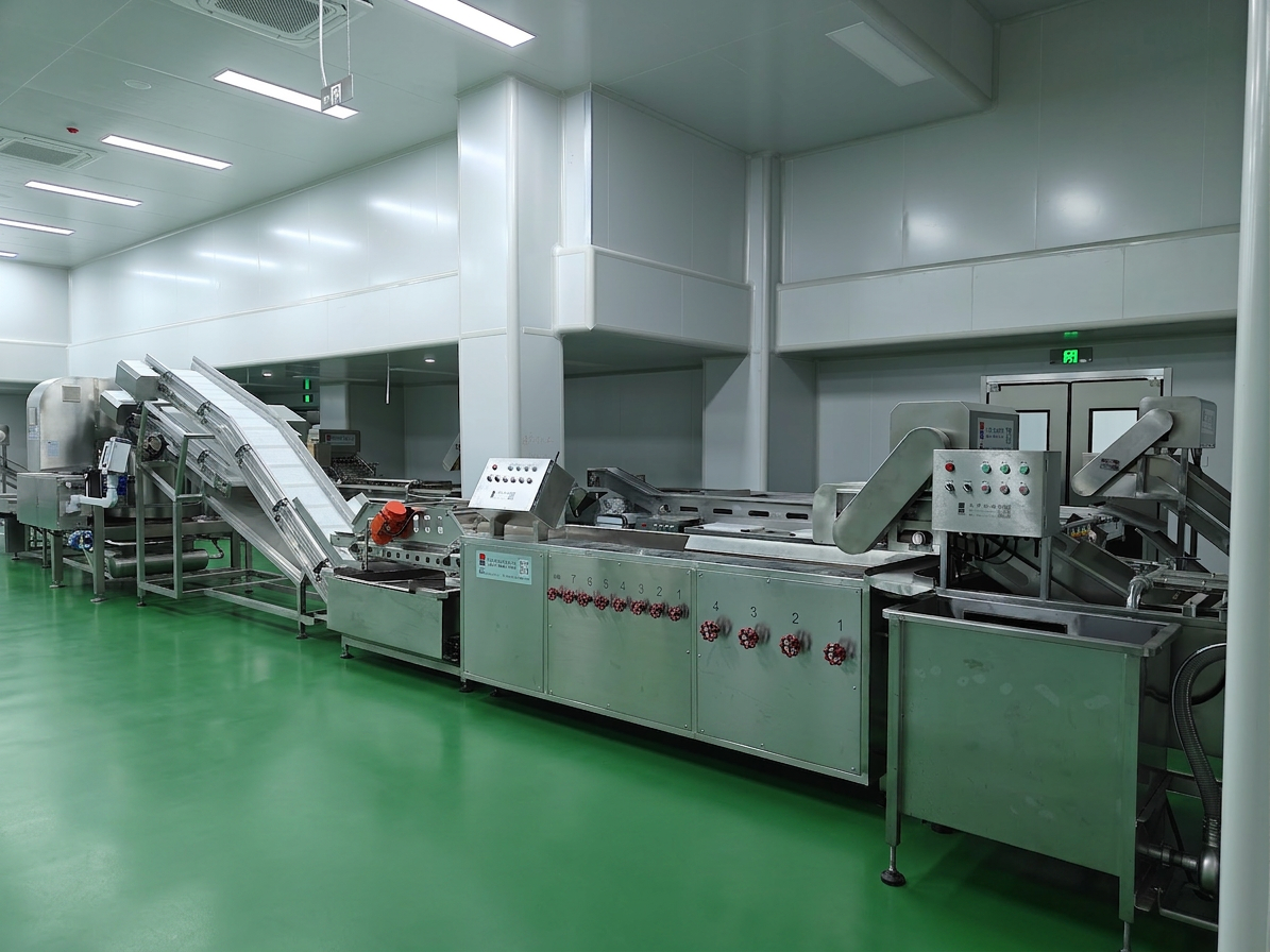 Connected fresh-cut vegetable processing stages installed in a hygienic production room
