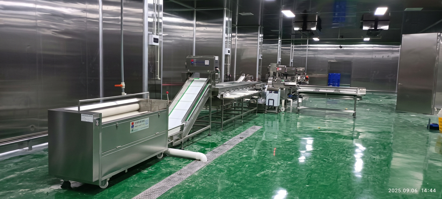 Food processing conveyor and washing equipment arranged for controlled product transfer