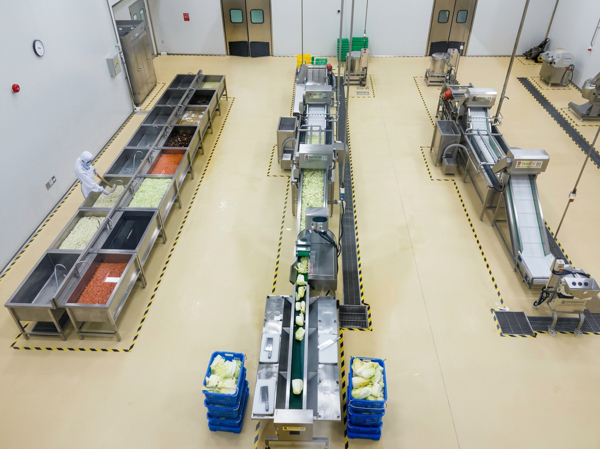 Worker monitoring a vegetable preparation workflow with washing, cutting and transfer stages