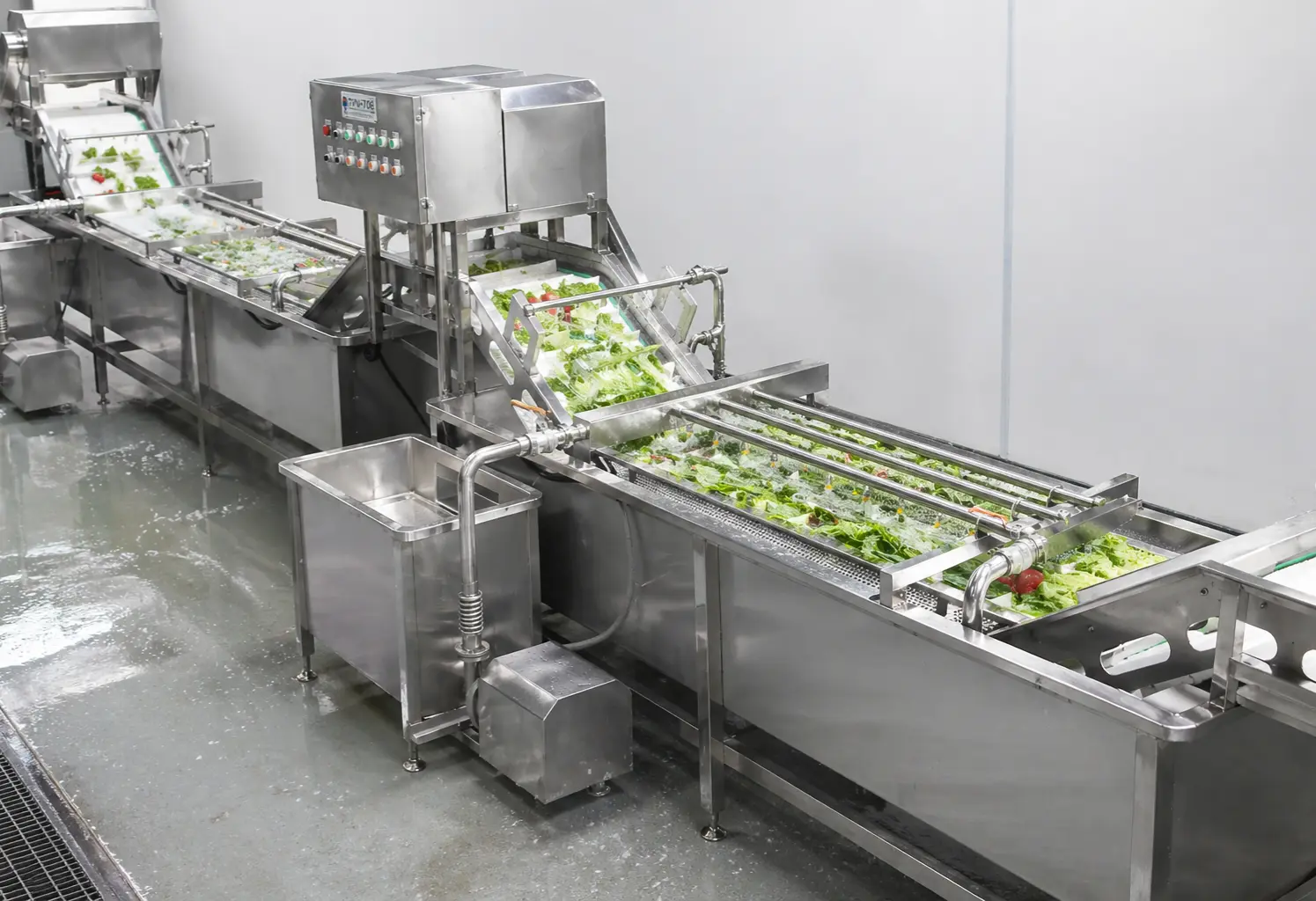 Mixed vegetable washing and peeling line for fresh-cut processing