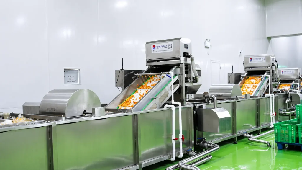 Diced root vegetables moving through a washing and transfer line
