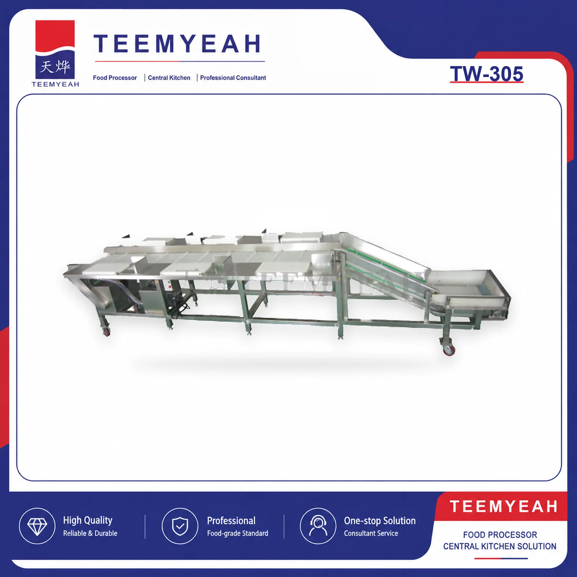 TEEMYEAH TW-305 Food Processing Line