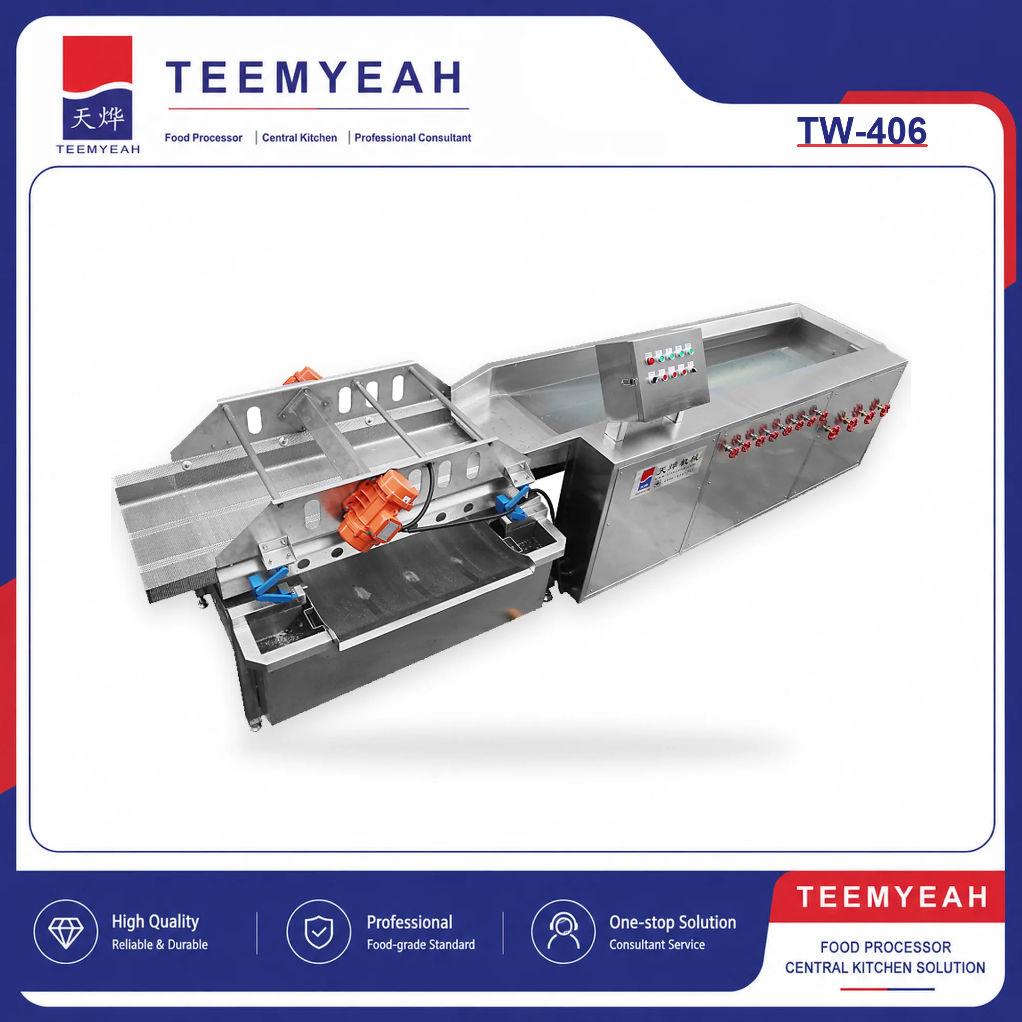 TEEMYEAH TW-406 Continuous Vegetable Washing Machine