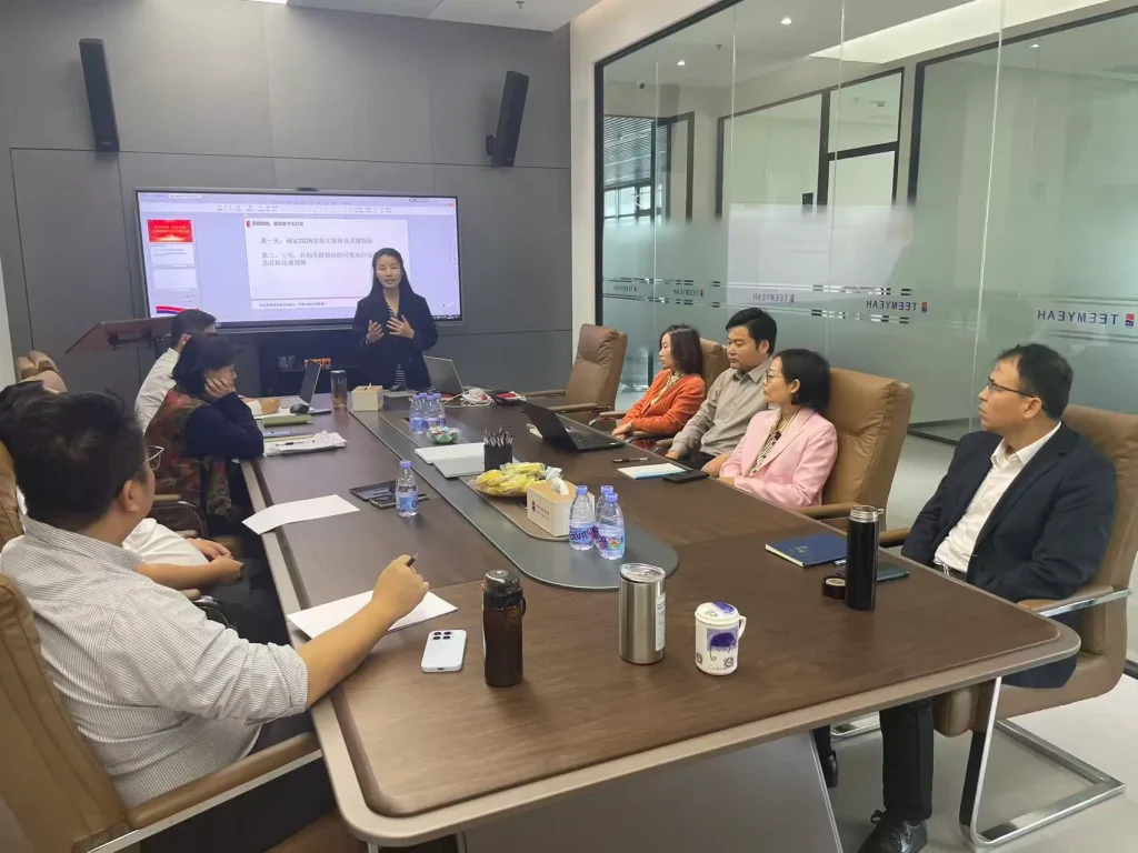 Teemyeah team meeting in conference room