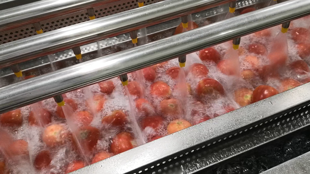 Fresh produce being washed beneath spray nozzles