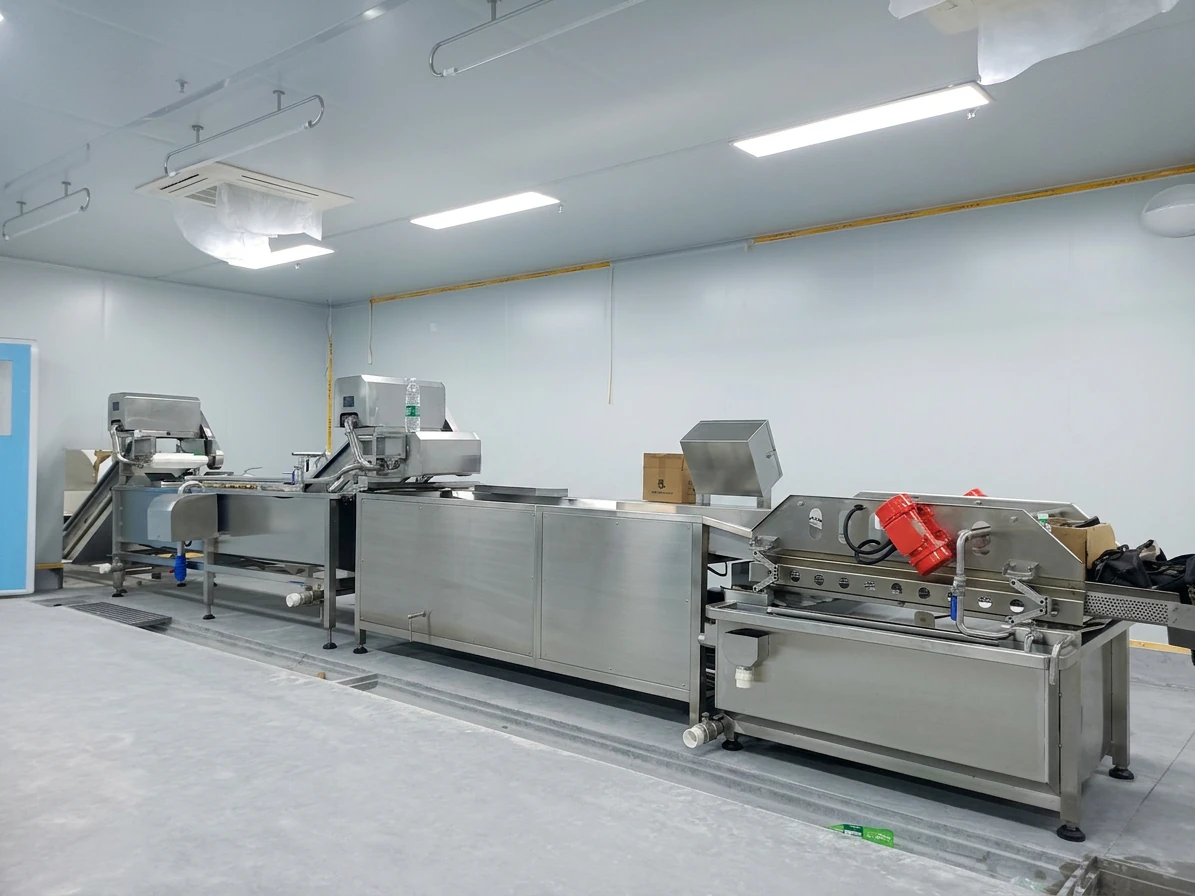 Stainless steel vegetable processing line installed in a clean production room