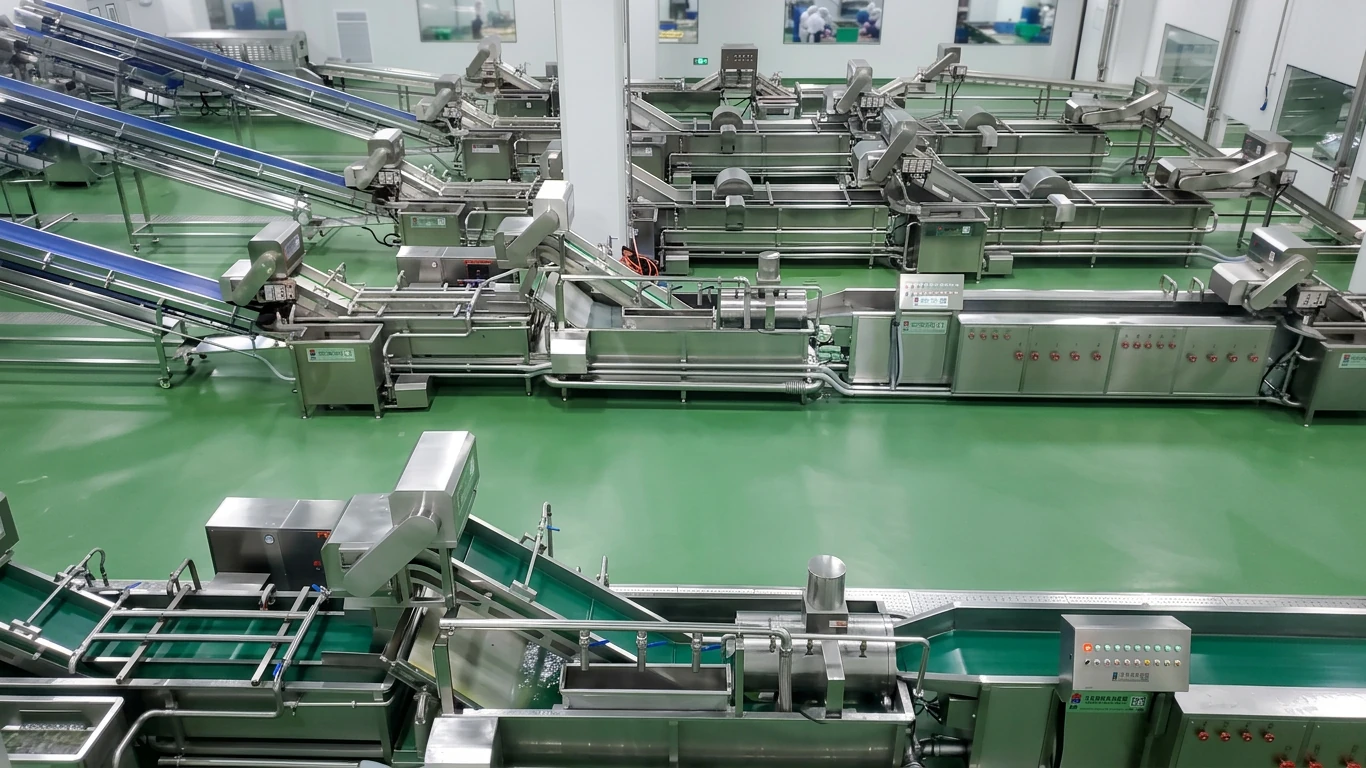 Multi-section food processing line used to assess throughput and process balance