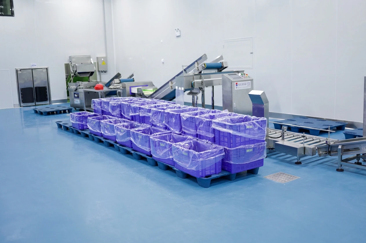 TEEMYEAH Plastic Crates Positioned Beside Automated Food Processing Line