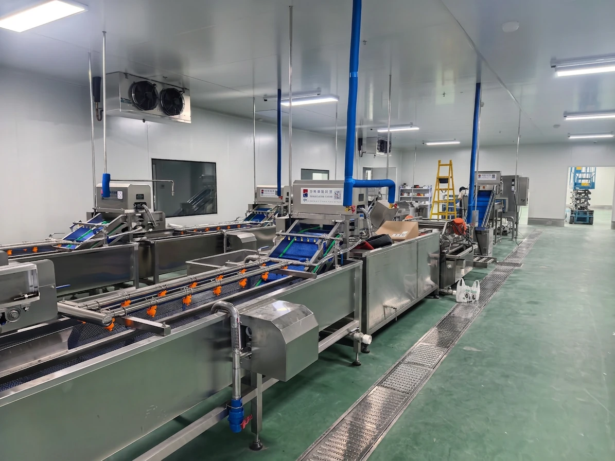 TEEMYEAH food processing conveyor line with packaging section