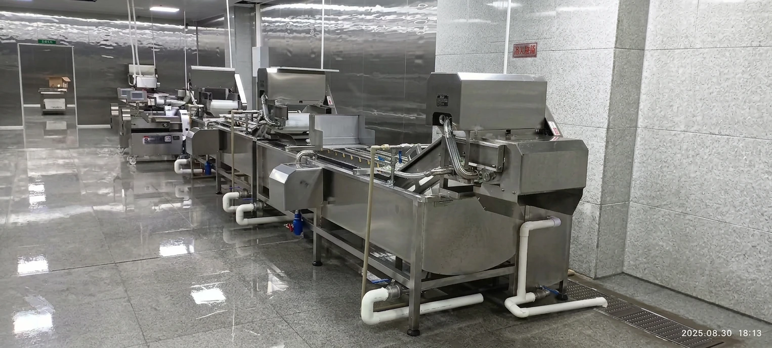 TEEMYEAH Stainless Steel Food Processing Equipment Installed In Project Facility
