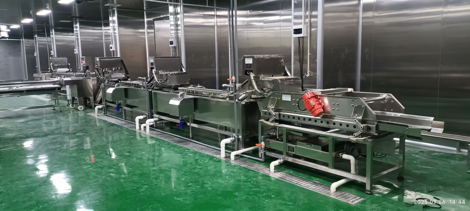 TEEMYEAH stainless steel vegetable processing line installed in a hygienic food production facility