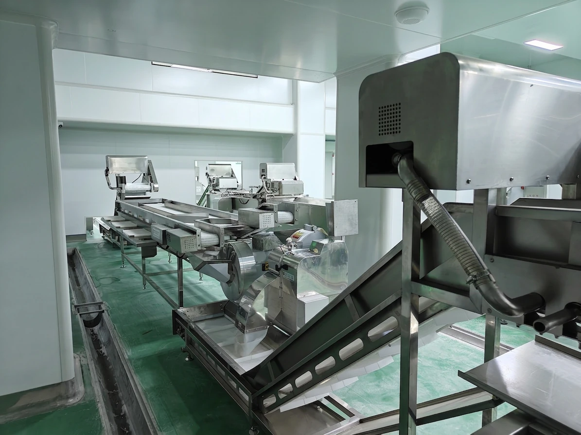 TEEMYEAH Stainless Steel Vegetable Processing Line With Conveyor System For Fresh Food Preparation