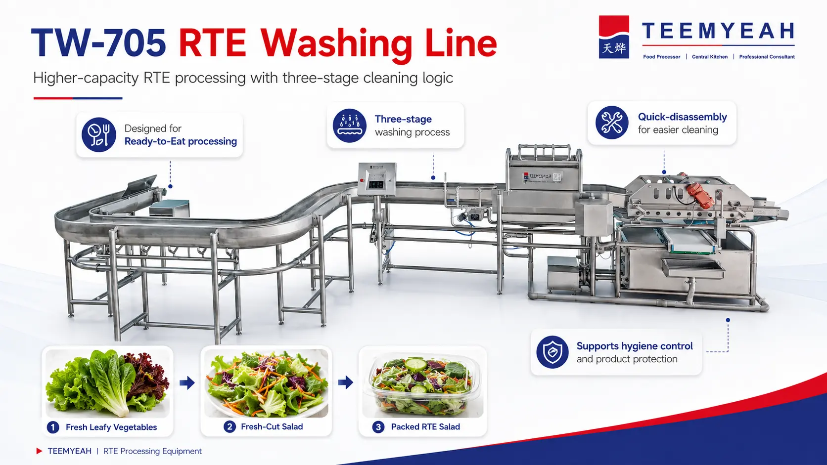 TEEMYEAH TW-705 vegetable salad washing line