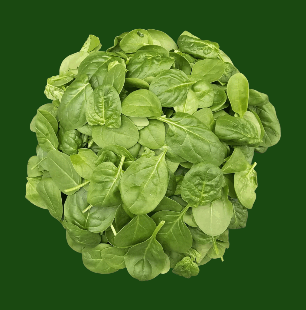 Baby leaf spinach and delicate greens for comparing leafy vegetable washing strategies