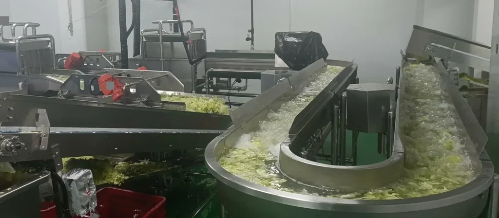 Curved stainless steel channels in a site-specific salad processing line