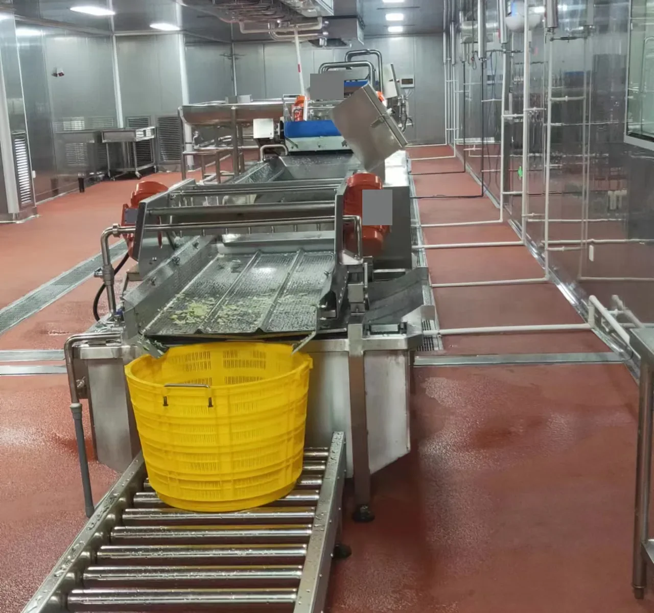 Salad processing discharge equipment beside an unpowered roller conveyor