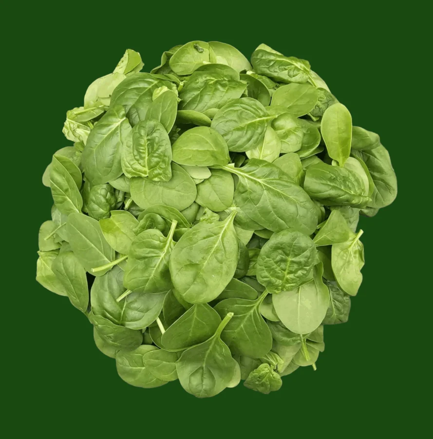 Spinach leaves illustrating the leafy incoming material form