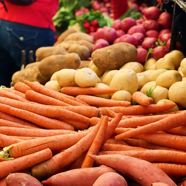 Mixed carrots, potatoes and sweet potatoes showing raw-material size variation