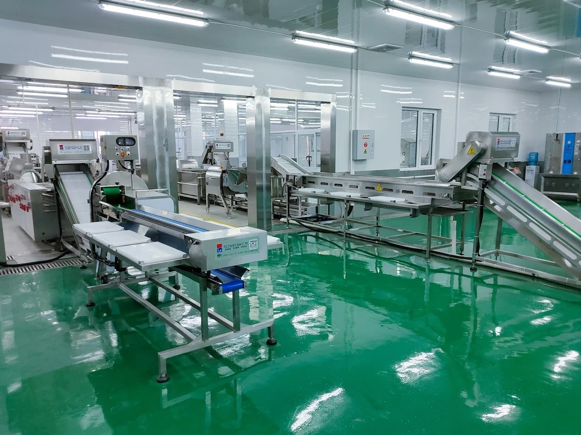 Stainless-steel processing equipment and conveyors arranged inside a facility
