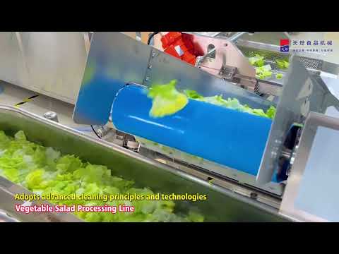 YouTube video preview: Cut Leafy Vegetable Washing Line | Fresh-Cut Salad Cleaning & Draining Line | TEEMYEAH
