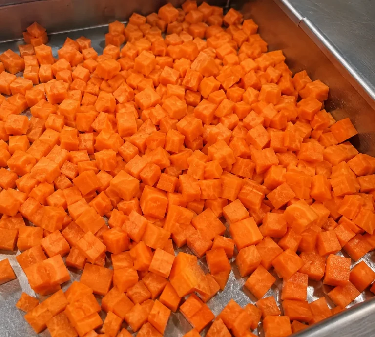 Fresh machine-cut carrot dices for industrial food processing