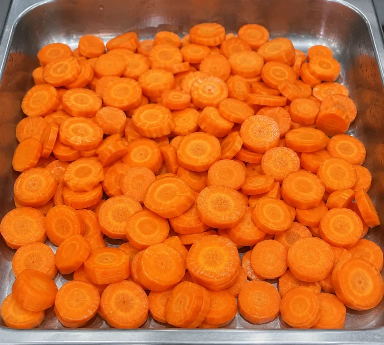 Fresh machine-cut carrot slices on a stainless-steel conveyor