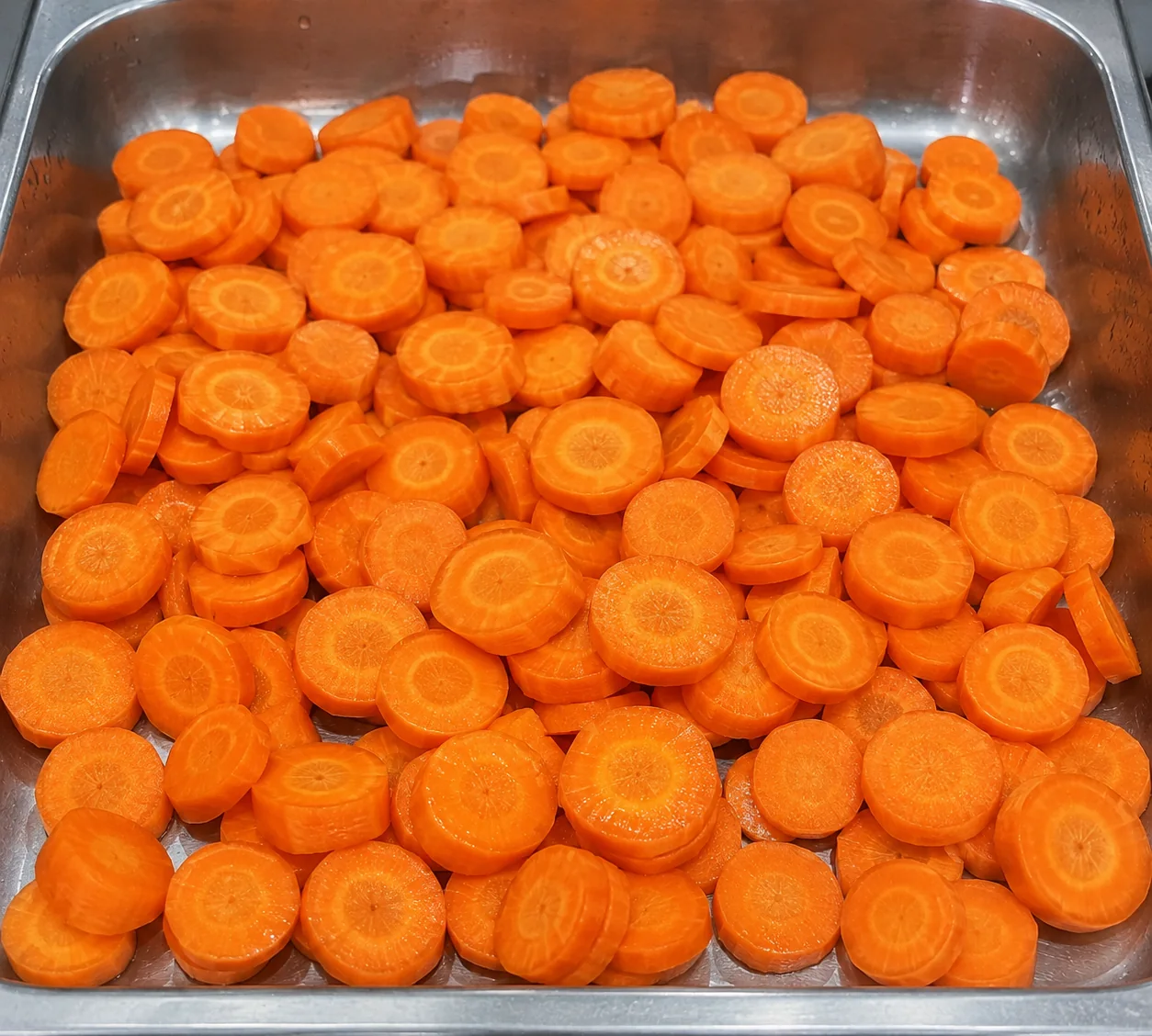 Fresh machine-cut carrot slices on a stainless-steel conveyor