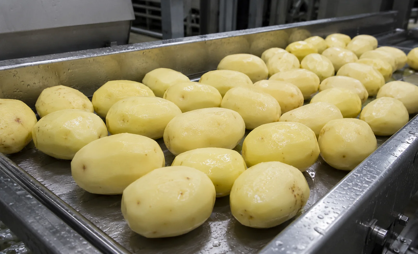 Wet peeled whole potatoes prepared for further food processing