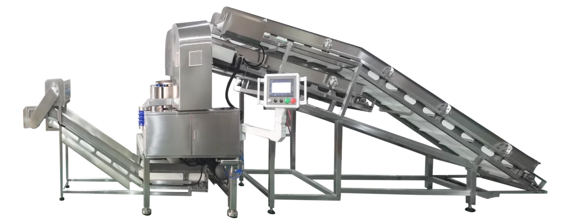 TEEMYEAH TW-980LB automated vegetable dewatering line