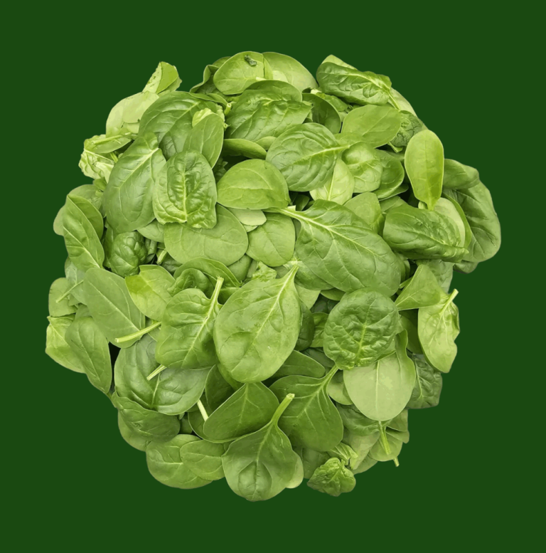 Baby spinach leaves used to define fragile-leaf trial inputs