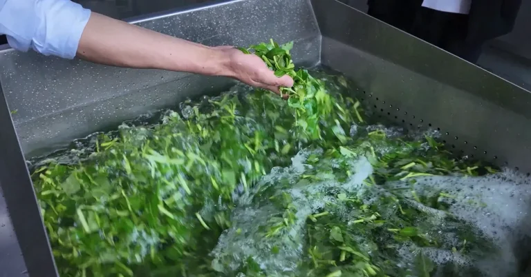 Leafy vegetables in moving water inside a stainless-steel washing tank