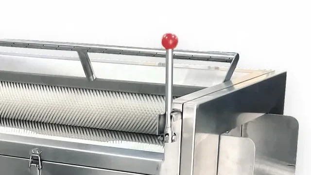 TY-1500A brush chamber for industrial carrot processing line preparation