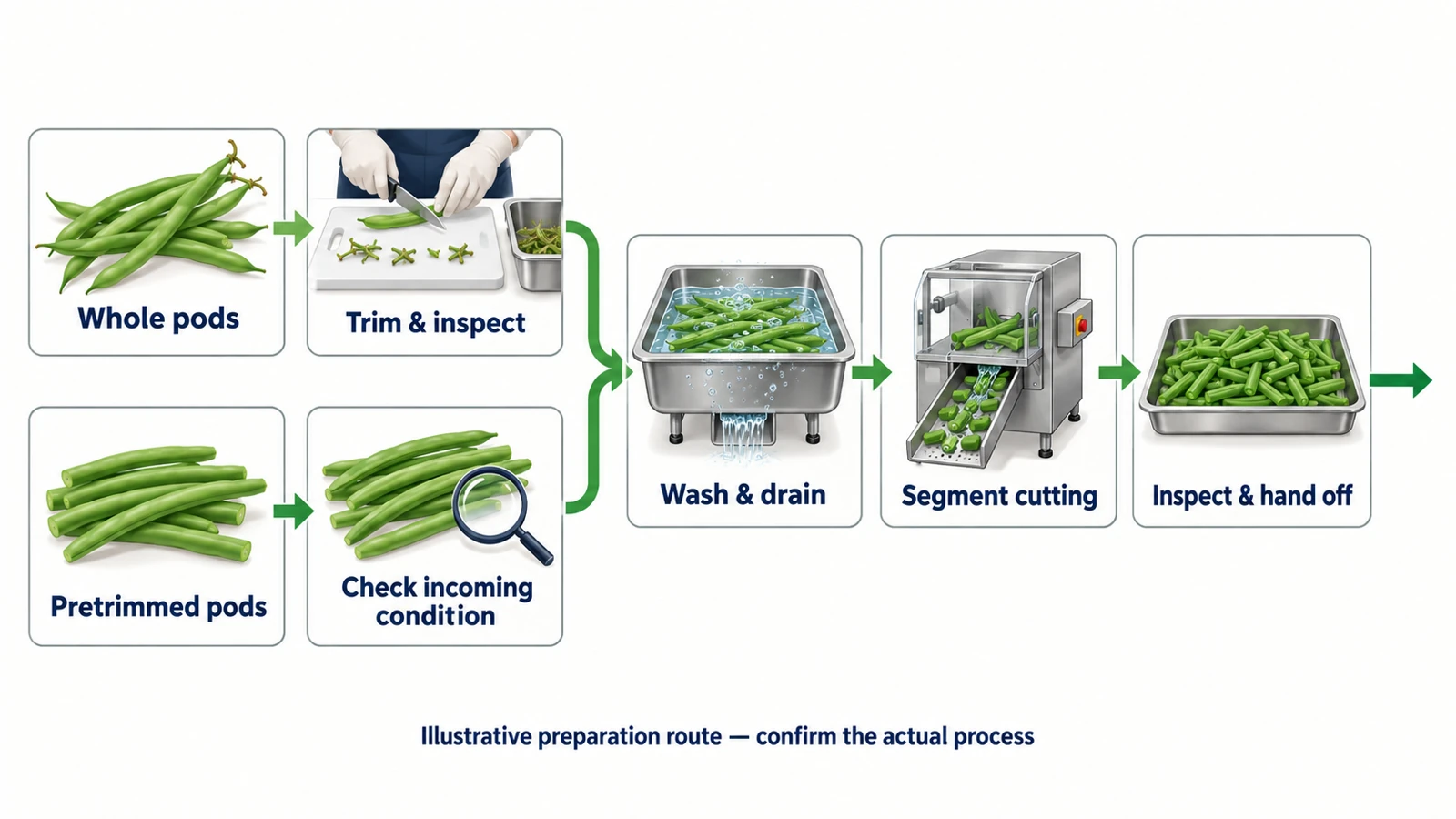 Green bean processing equipment preparation routes for whole and pretrimmed pods