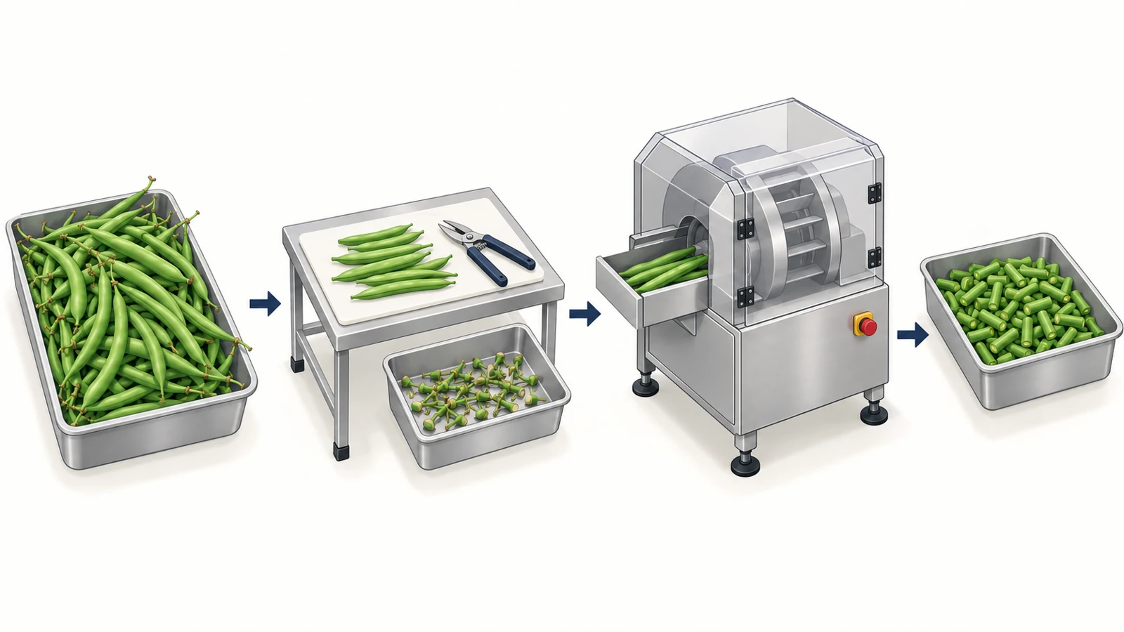Green bean processing equipment concept showing manual trimming before segment cutting