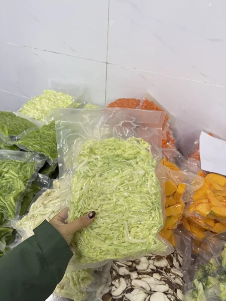 Shredded cabbage prepared for downstream handling