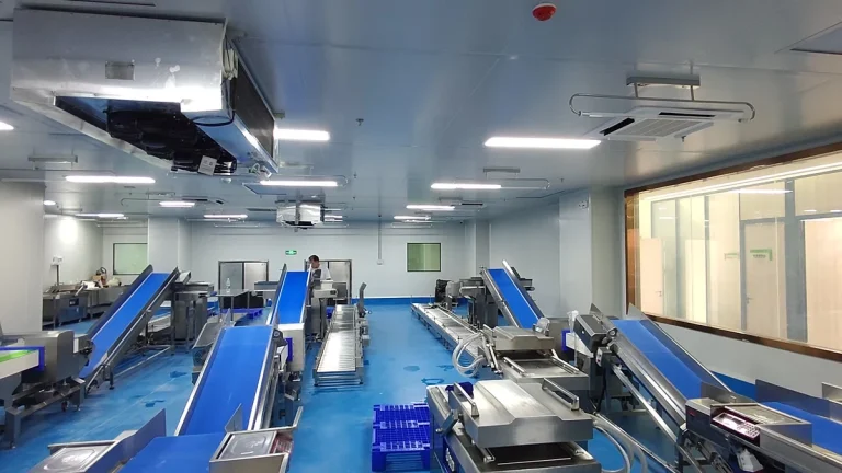 Parallel preparation and conveying equipment in a central food production room