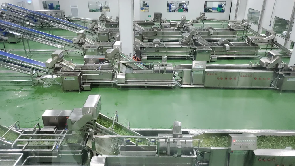 Connected stainless steel washing and conveying lines in a food processing facility