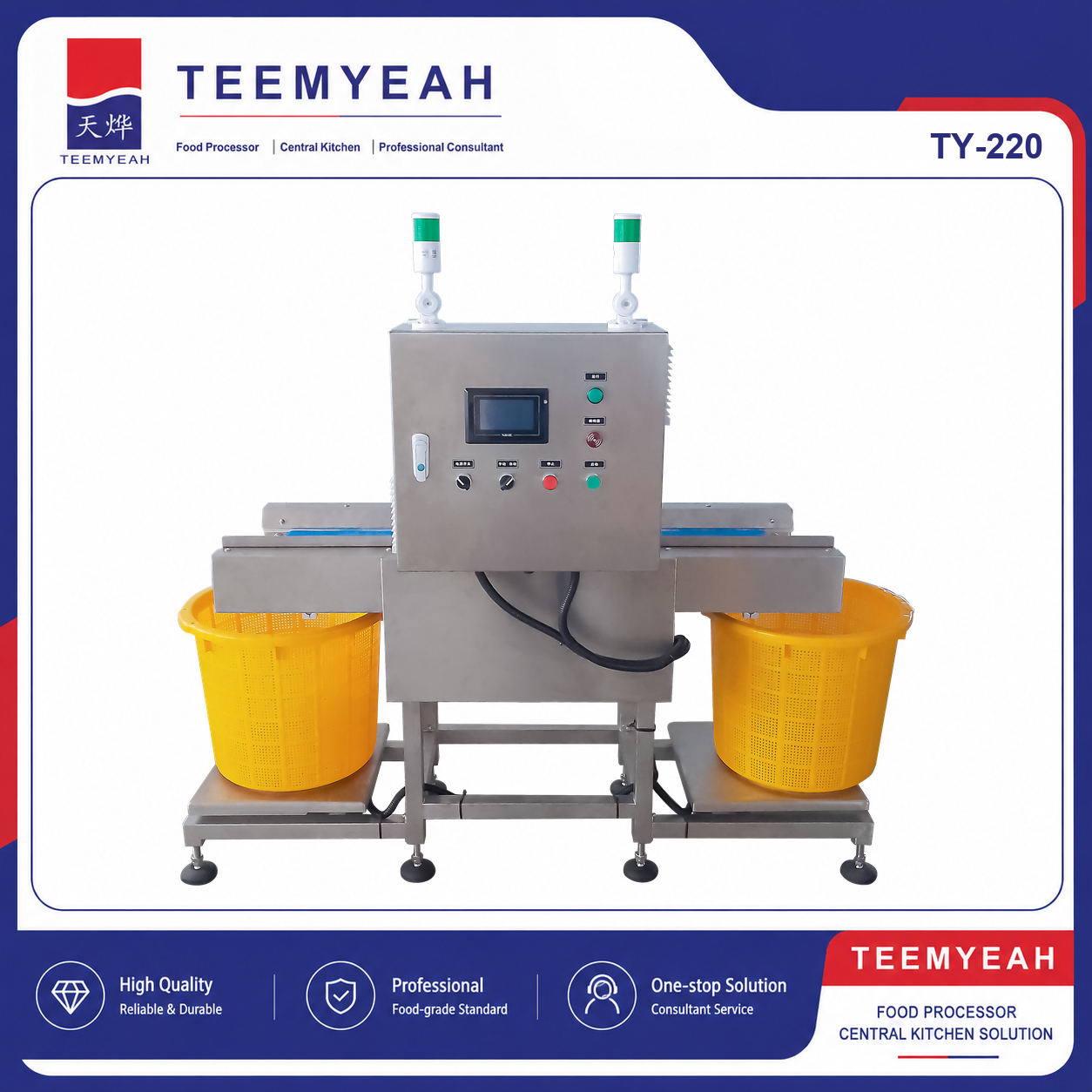 TEEMYEAH TY-220 machine in the official branded product frame
