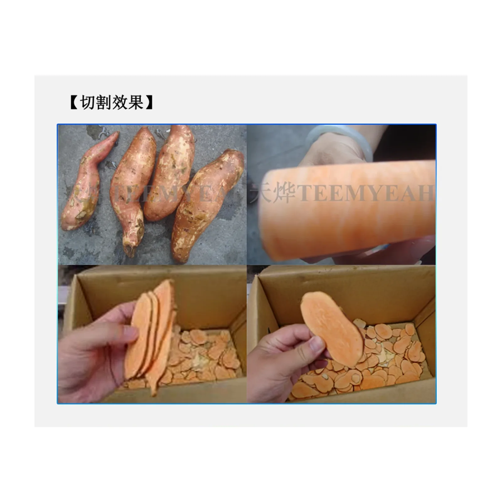 TEEMYEAH TW-907 Industrial Root Vegetable Slicer
